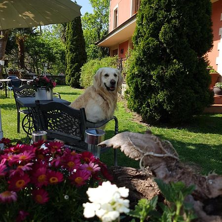 Hotel Rural El Torrejon Arenas De Cabrales Esterno foto